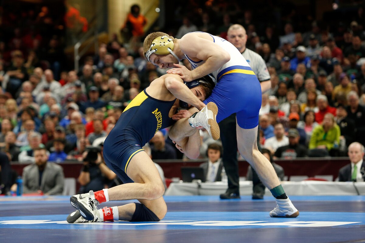 College Wrestling Workout Program Pdf Blog Dandk
